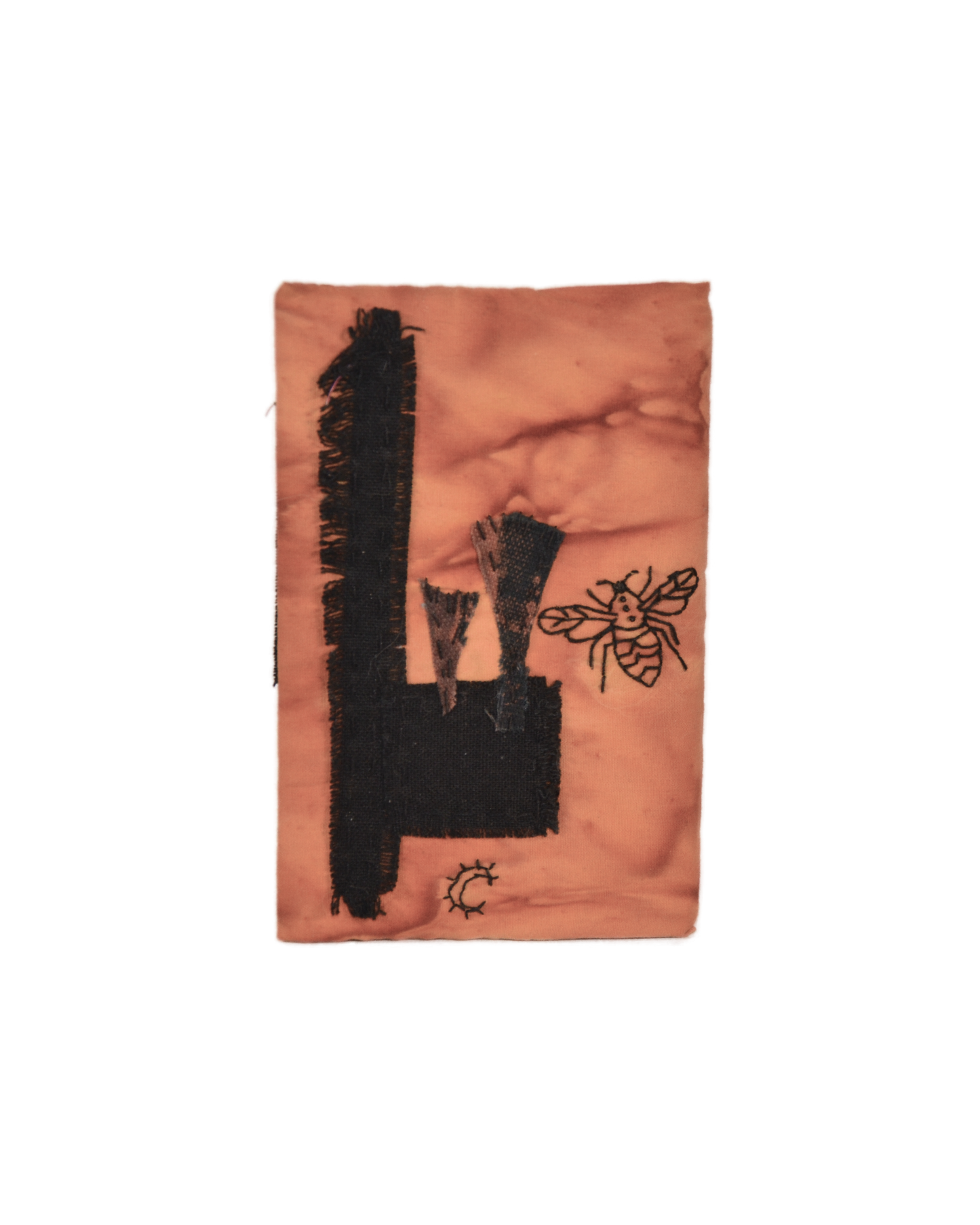 Orange Bug Small Diary Cover