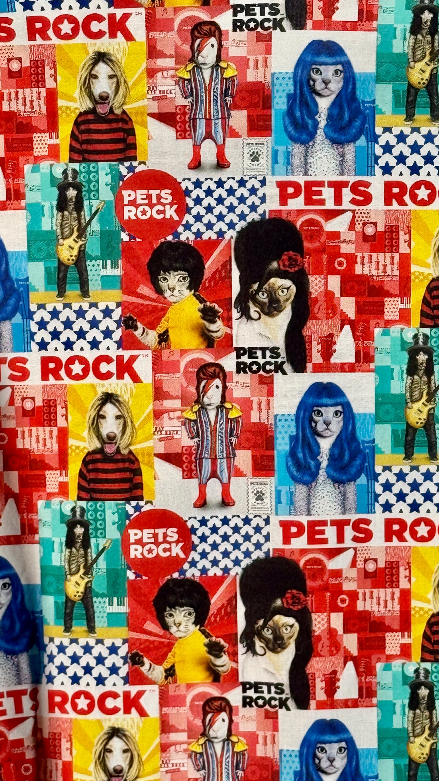 Pets Rock Long Sleeve Shirt