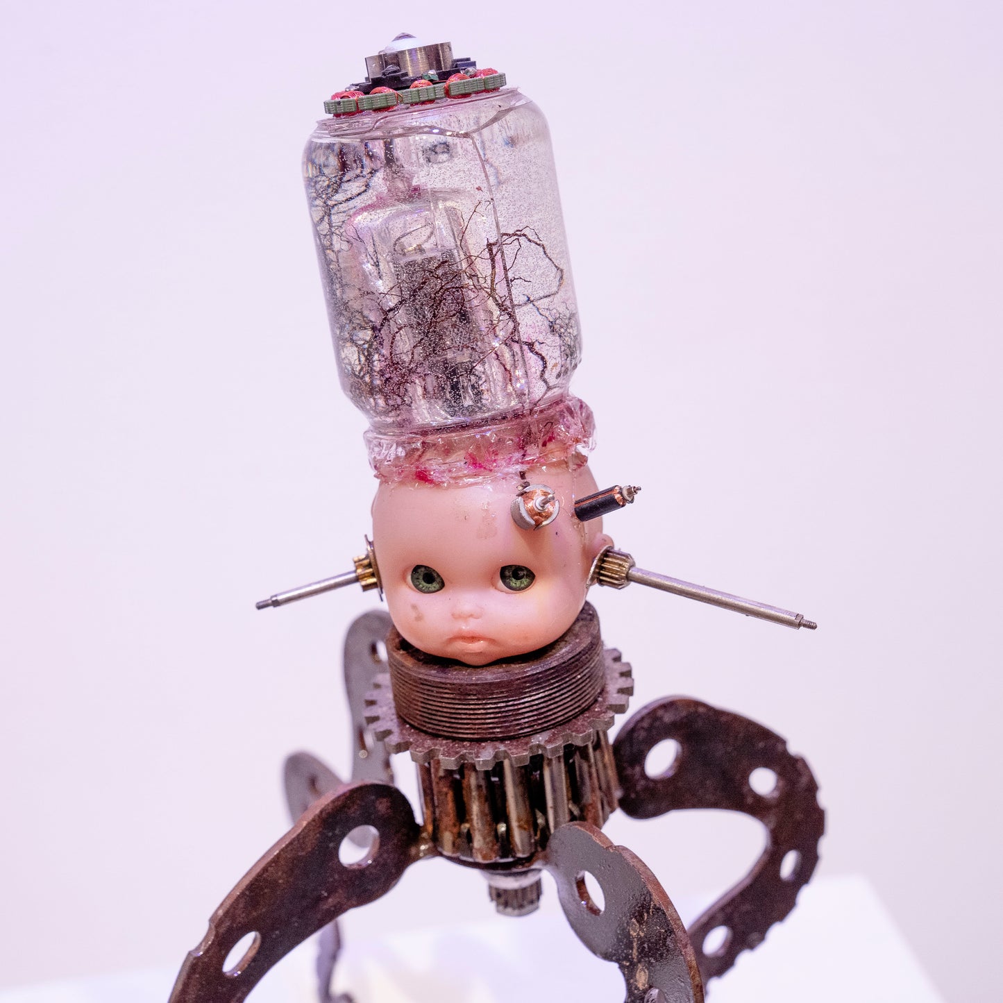 SquidHead 2